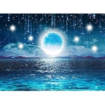Society6◆タペストリー◆宇宙柄◆425品特集◆L:224cm × 264cm 71uUwaOaTiL._AC_SY200_QL15_.jpg